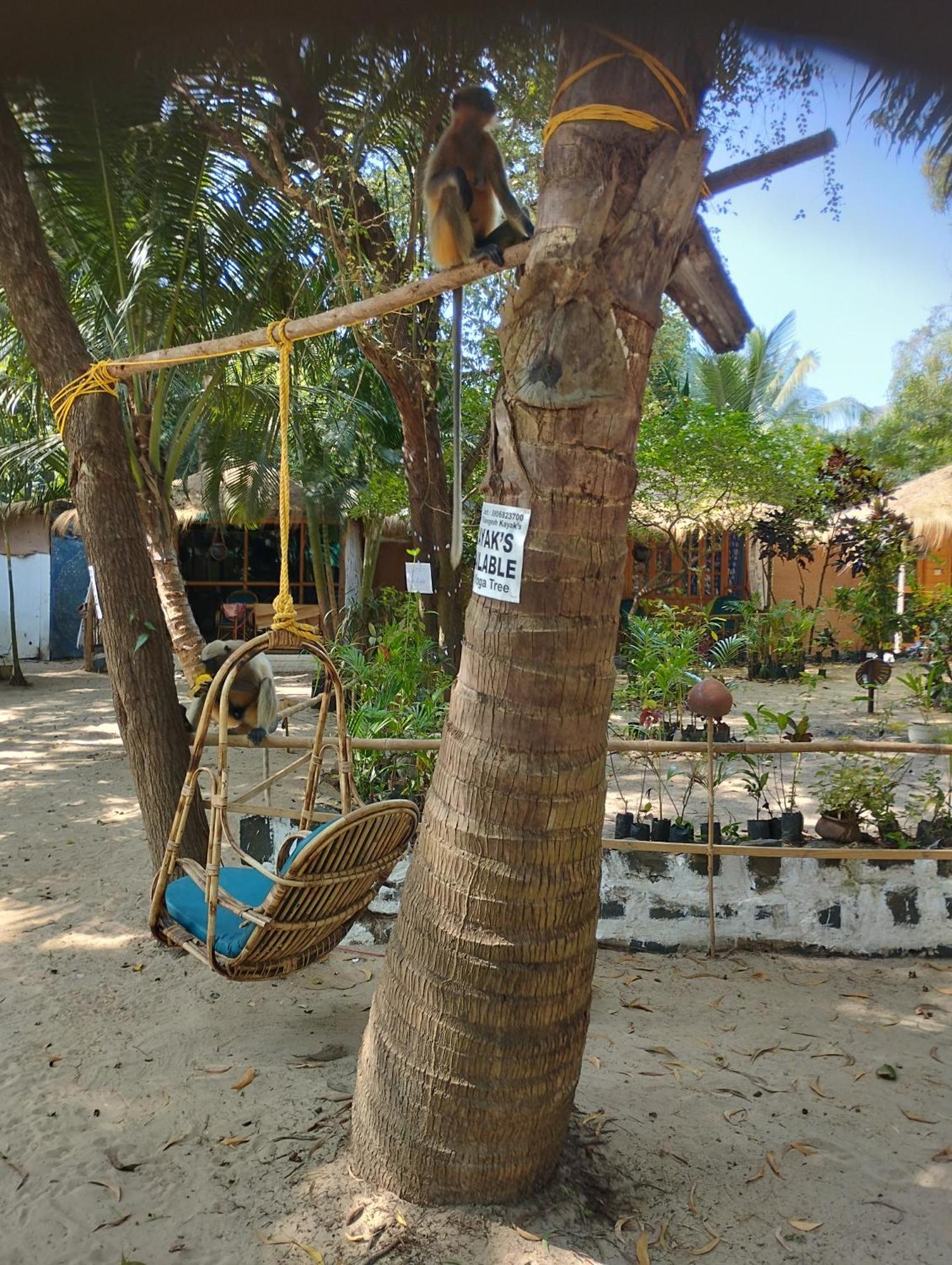 Yoga Culture Palolem Hotel Luaran gambar